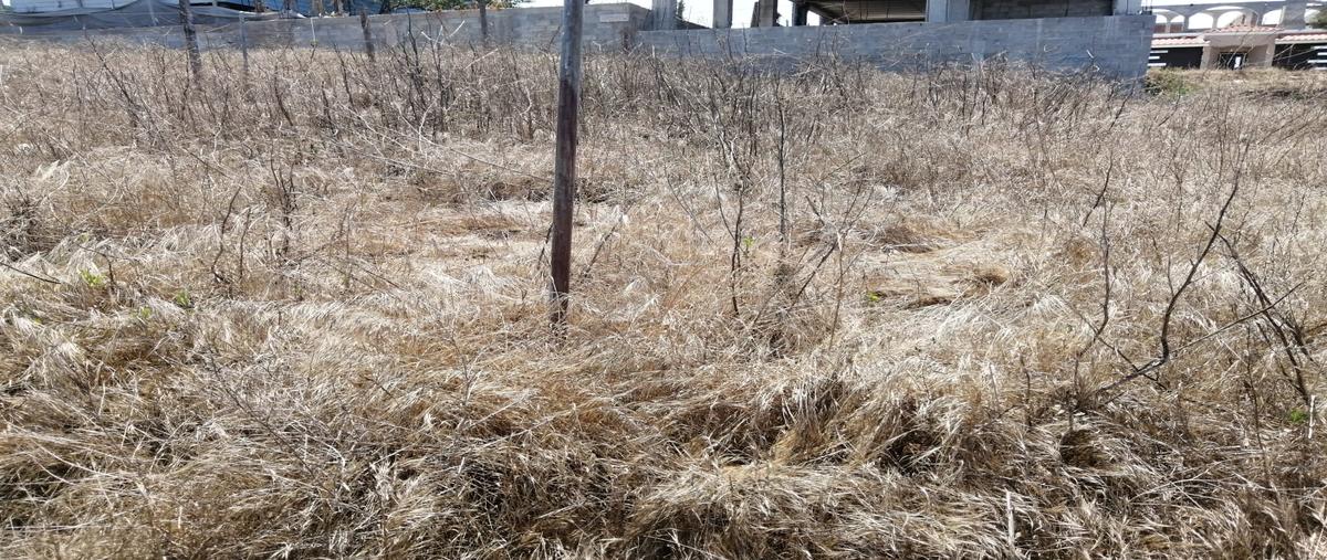Foto de terreno habitacional en venta en nezahualcóyotl , aztlán, playas de rosarito, baja california, 30178549 No. 05