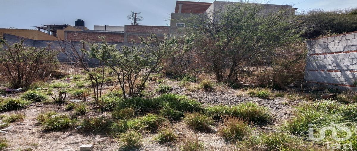 Foto de terreno habitacional en venta en nicolas bravo 184, san rafael insurgentes, san miguel de allende, guanajuato, 30840878 No. 04