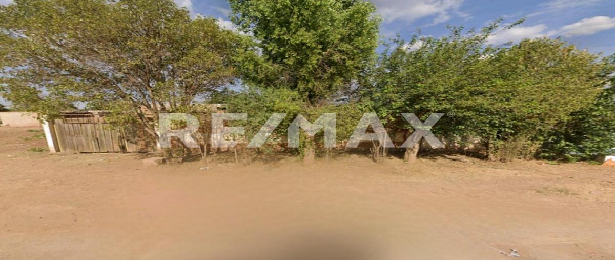 Foto de terreno habitacional en venta en nicolas bravo , ciudad guadalupe victoria, guadalupe victoria, durango, 0 No. 05