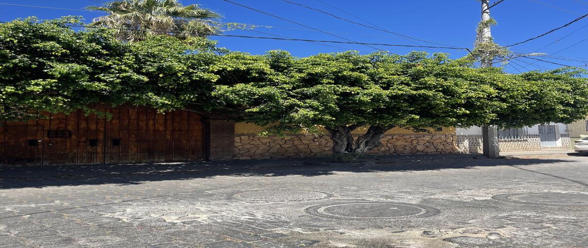 Foto de terreno comercial en venta en nicolas bravo , el ranchito, tequila, jalisco, 0 No. 03