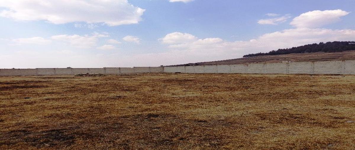 Foto de terreno habitacional en renta en nicolás bravo , san pablo autopan, toluca, méxico, 24977809 No. 05