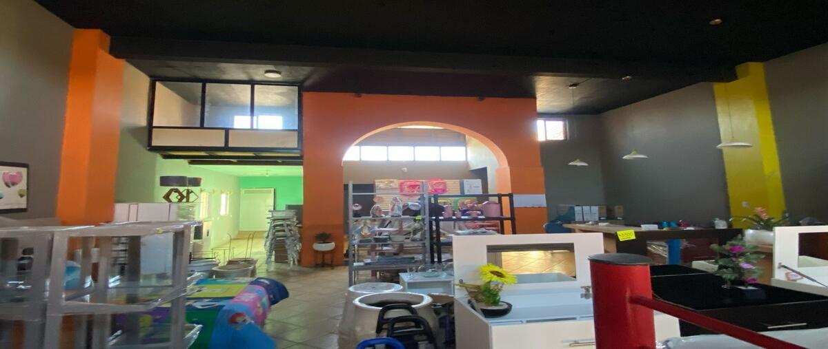 Foto de terreno habitacional en venta en nicolas bravo , villa corona centro, villa corona, jalisco, 29833413 No. 04