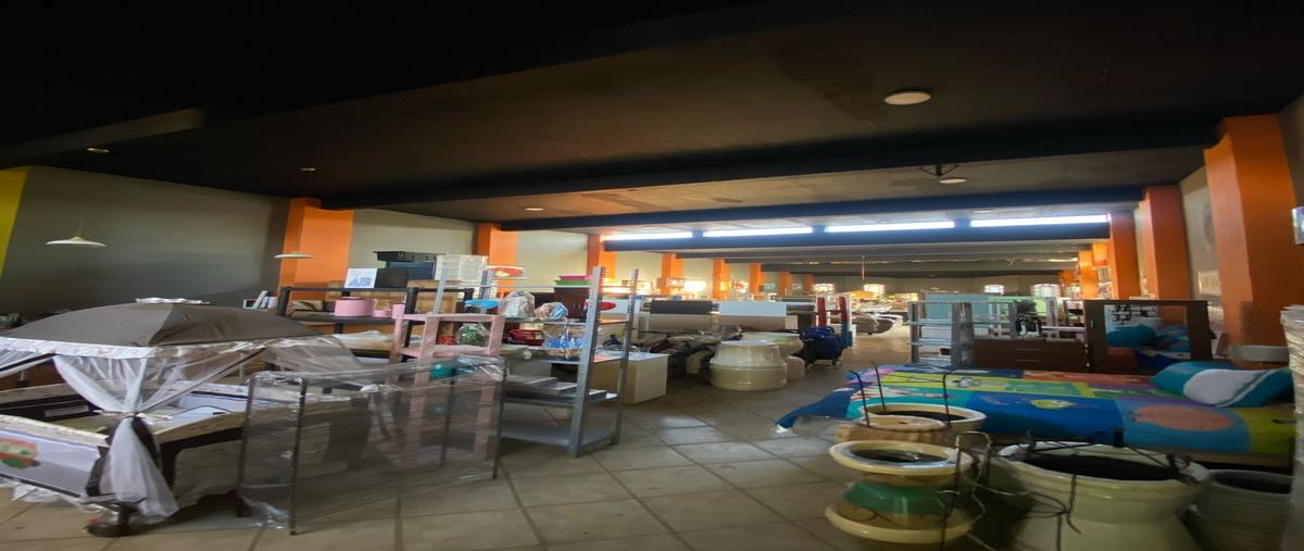 Foto de terreno habitacional en venta en nicolas bravo , villa corona centro, villa corona, jalisco, 29833413 No. 05