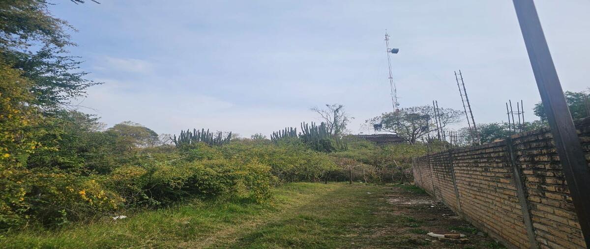 Foto de terreno habitacional en venta en niger , tenamaxtlan, tenamaxtlán, jalisco, 0 No. 03