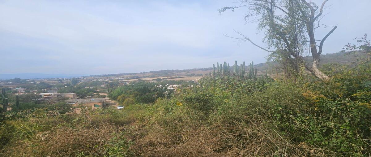 Foto de terreno habitacional en venta en niger , tenamaxtlan, tenamaxtlán, jalisco, 0 No. 04