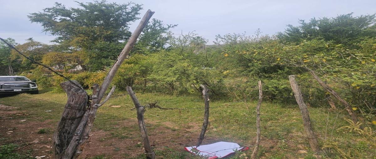 Foto de terreno habitacional en venta en niger , tenamaxtlan, tenamaxtlán, jalisco, 0 No. 05