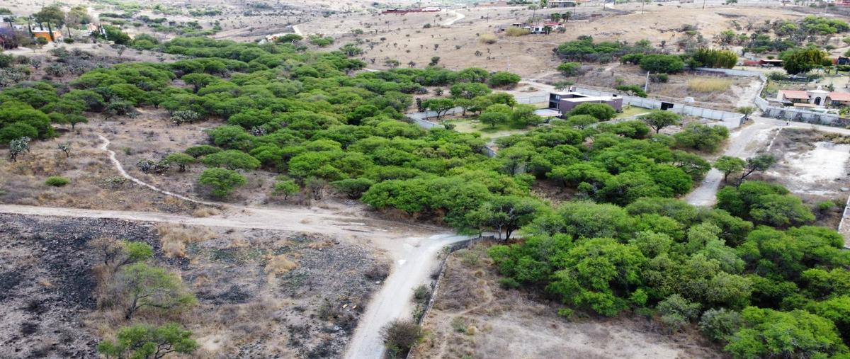 Foto de terreno habitacional en venta en  , nigromante, san miguel de allende, guanajuato, 0 No. 03