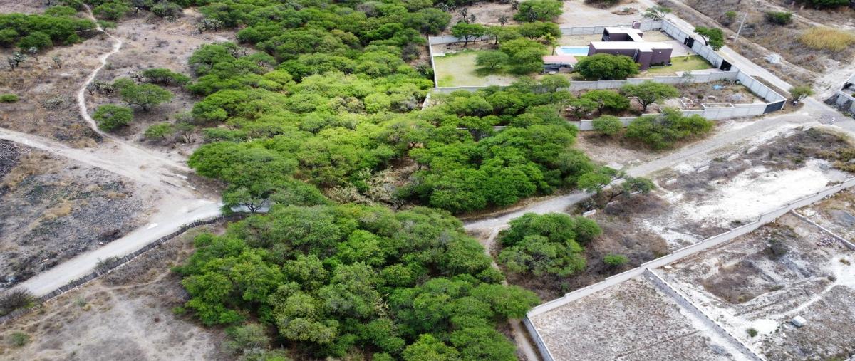 Foto de terreno habitacional en venta en  , nigromante, san miguel de allende, guanajuato, 0 No. 04