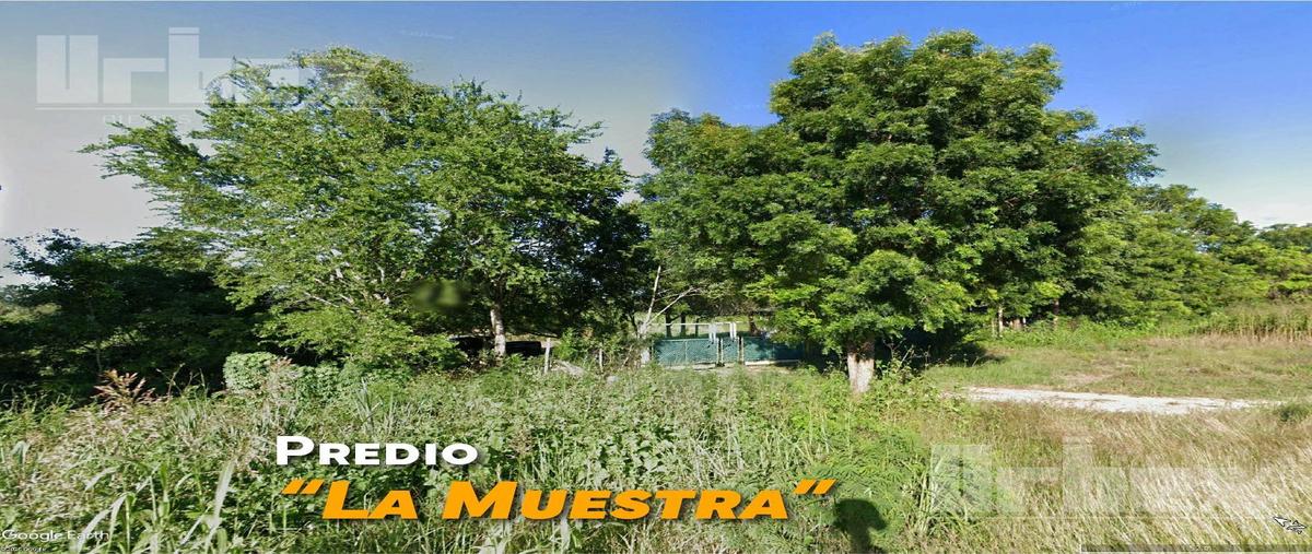 Foto de terreno habitacional en , nilchi, campeche, campeche, 30299061 foto 05 Foto de terreno habitacional en venta en , nilchi, campeche, campeche, 30299061 No. 05