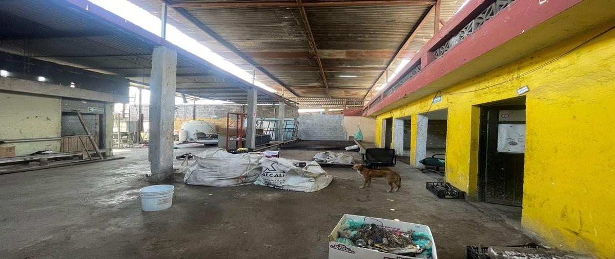 Foto de local en renta en  , niño artillero, monterrey, nuevo león, 0 No. 03