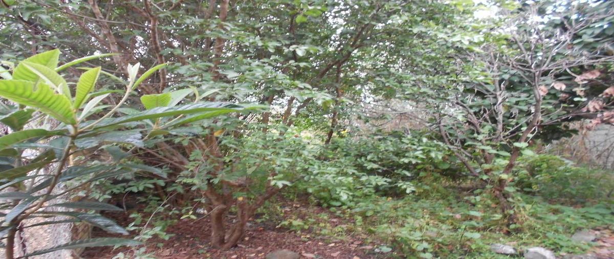 Foto de terreno habitacional en venta en  , niño artillero, morelia, michoacán de ocampo, 0 No. 05