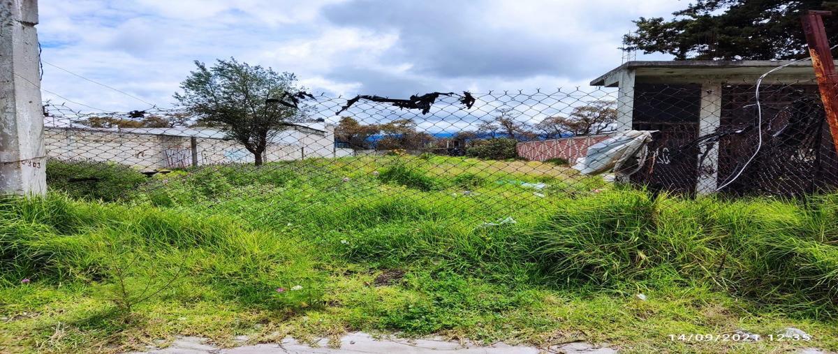 Foto de terreno habitacional en niño perdido 146san miguel52104 san mateo atencoméx. , san miguel, san mateo atenco, méxico, 22398566 foto 03 Foto de terreno habitacional en renta en niño perdido 146san miguel52104 san mateo atencoméx. , san miguel, san mateo atenco, méxico, 22398566 No. 03