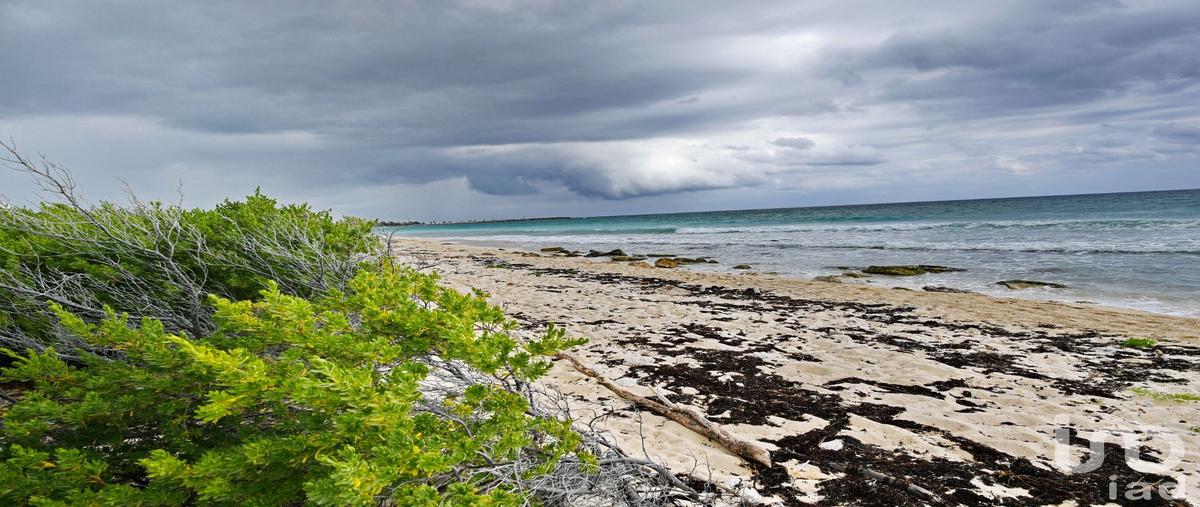 Foto de terreno comercial en venta en niños heroes 83, puerto morelos, puerto morelos, quintana roo, 28720063 No. 05