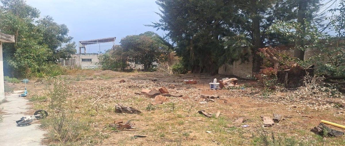 Foto de terreno habitacional en venta en niños héroes. , bosques de chalco i, chalco, méxico, 0 No. 05