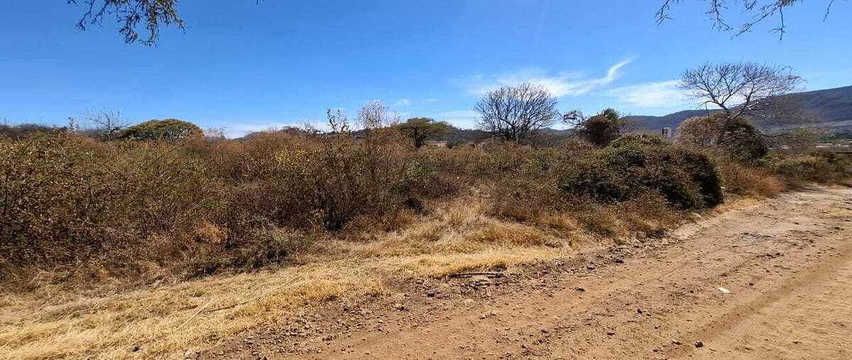 Foto de terreno habitacional en niños heroes , ixtlahuacan de los membrillos, ixtlahuacán de los membrillos, jalisco, 29279732 foto 02 Foto de terreno habitacional en venta en niños heroes , ixtlahuacan de los membrillos, ixtlahuacán de los membrillos, jalisco, 29279732 No. 02