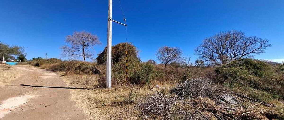Foto de terreno habitacional en niños heroes , ixtlahuacan de los membrillos, ixtlahuacán de los membrillos, jalisco, 29279732 foto 05 Foto de terreno habitacional en venta en niños heroes , ixtlahuacan de los membrillos, ixtlahuacán de los membrillos, jalisco, 29279732 No. 05