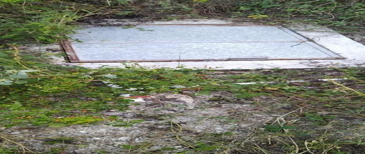 Foto de terreno habitacional en , noc ac, mérida, yucatán, 0 foto 09 Foto de terreno habitacional en venta en , noc ac, mérida, yucatán, 0 No. 09