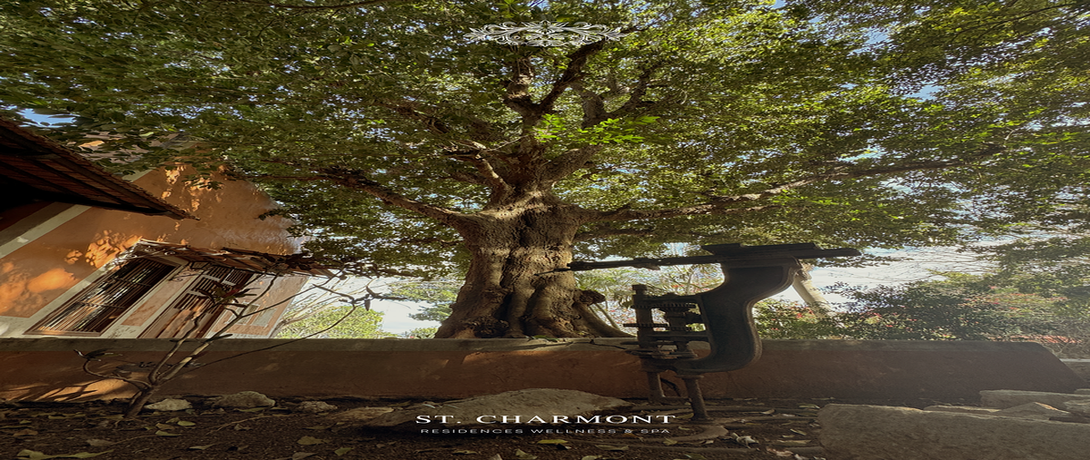 Foto de terreno habitacional en venta en  , noc ac, mérida, yucatán, 0 No. 07