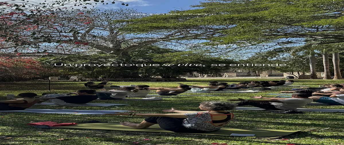 Foto de terreno habitacional en venta en  , noc ac, mérida, yucatán, 0 No. 09