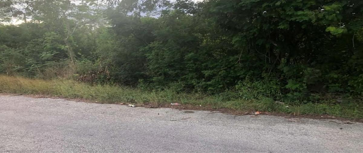 Foto de terreno habitacional en venta en  , noc ac, mérida, yucatán, 0 No. 03