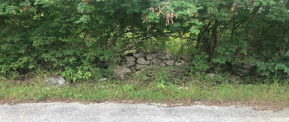 Foto de terreno habitacional en venta en  , noc ac, mérida, yucatán, 0 No. 05