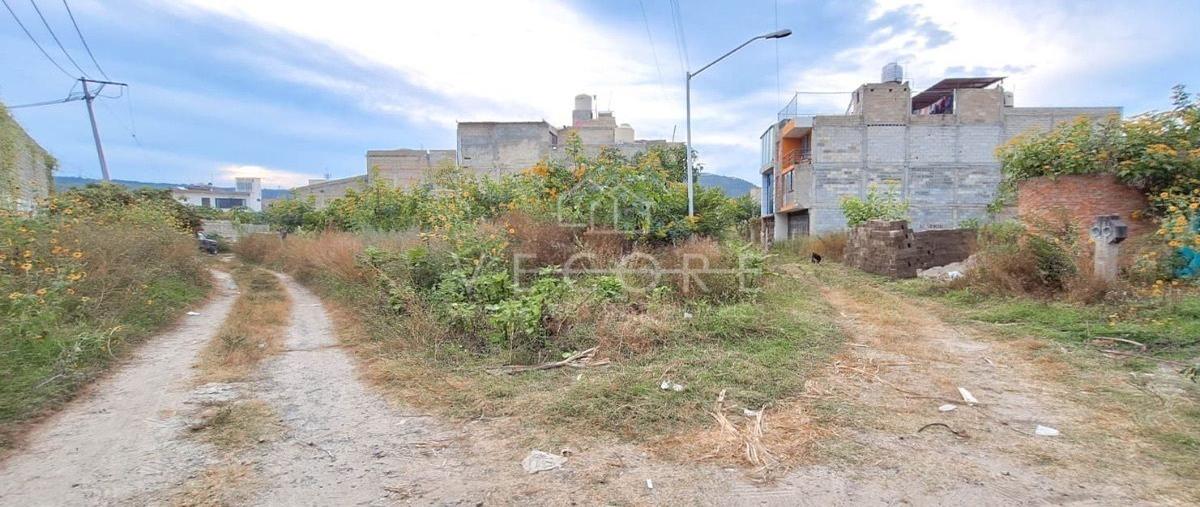 Foto de terreno habitacional en venta en noche buena , el fortín, zapopan, jalisco, 27453238 No. 05