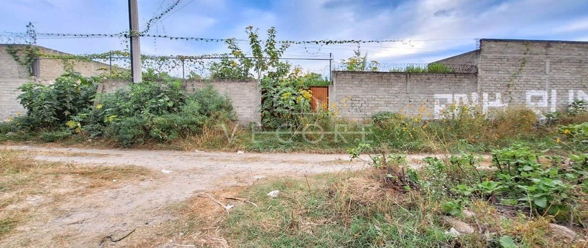 Foto de terreno habitacional en renta en noche buena , el fortín, zapopan, jalisco, 0 No. 03