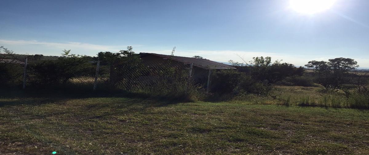 Foto de terreno habitacional en venta en nochebuena tercera sección lote 4 manzana x , cabañas loma del marqués, irapuato, guanajuato, 9783917 No. 04