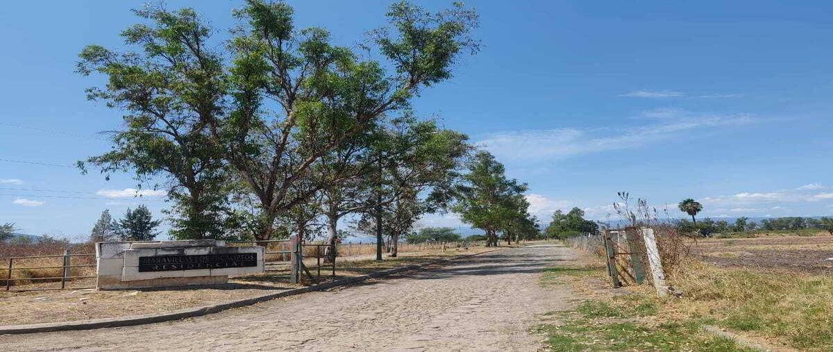 Foto de terreno habitacional en venta en nogal , acatlan de juárez, acatlán de juárez, jalisco, 0 No. 01