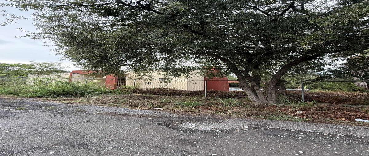 Foto de rancho en nogal , congregación calles, montemorelos, nuevo león, 0 foto 04 Foto de rancho en venta en nogal , congregación calles, montemorelos, nuevo león, 0 No. 04