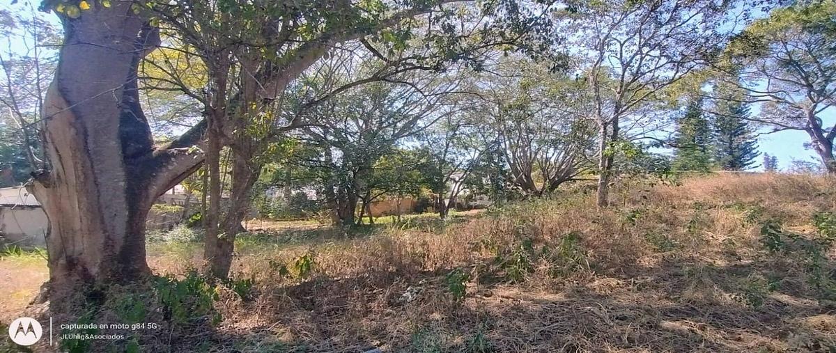 Foto de terreno habitacional en venta en nogal , don ventura, san fernando, chiapas, 0 No. 06