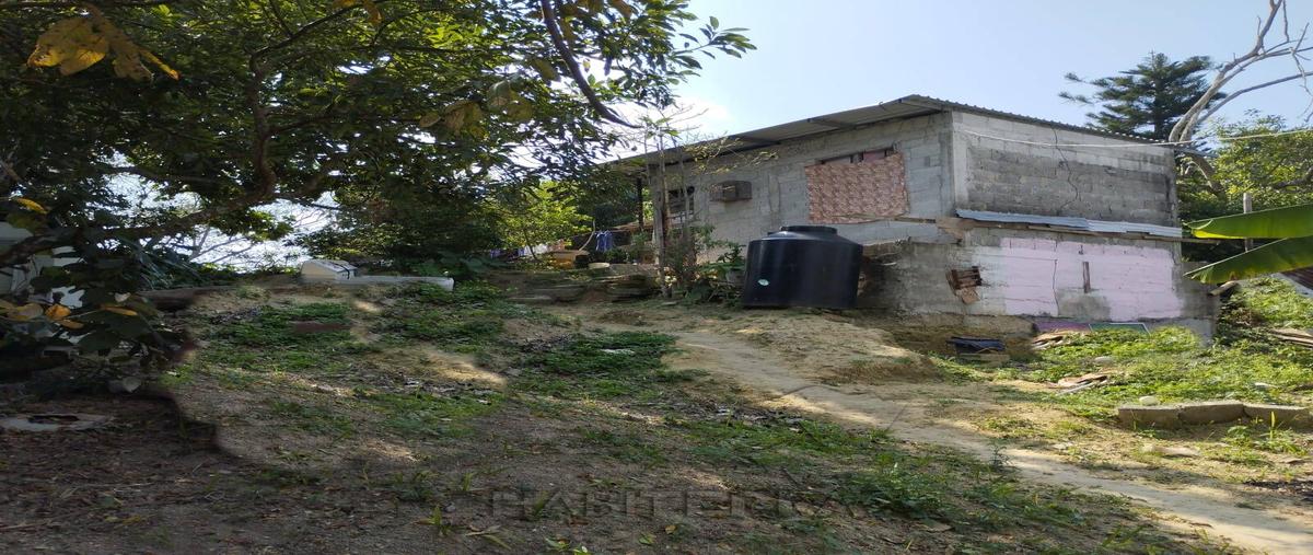Foto de terreno habitacional en nogal , las lomas, tantoyuca, veracruz de ignacio de la llave, 25947219 foto 02 Foto de terreno habitacional en venta en nogal , las lomas, tantoyuca, veracruz de ignacio de la llave, 25947219 No. 02