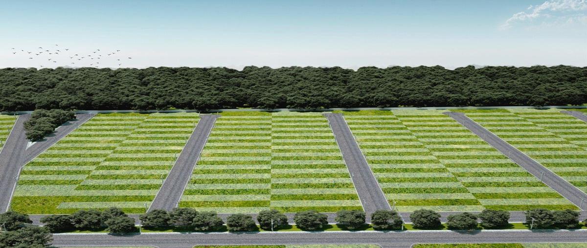 Foto de terreno habitacional en venta en  , nolo, tixkokob, yucatán, 0 No. 05