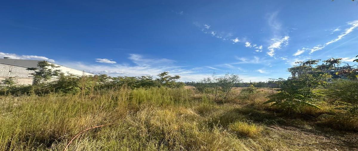 Foto de terreno habitacional en venta en  , nombre de dios, chihuahua, chihuahua, 27113304 No. 04