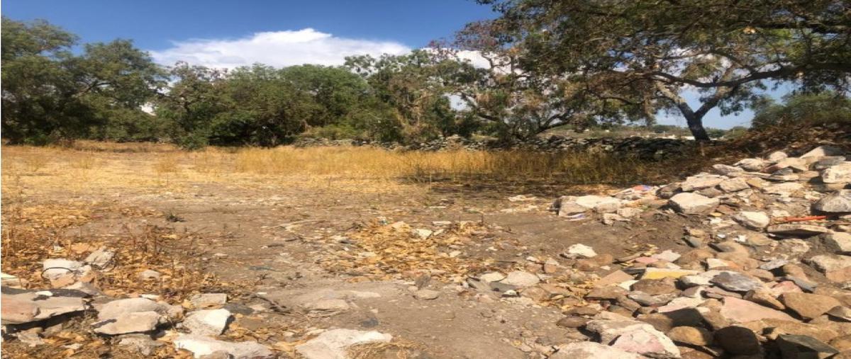 Foto de terreno habitacional en venta en  , nopala centro, nopala de villagrán, hidalgo, 0 No. 03