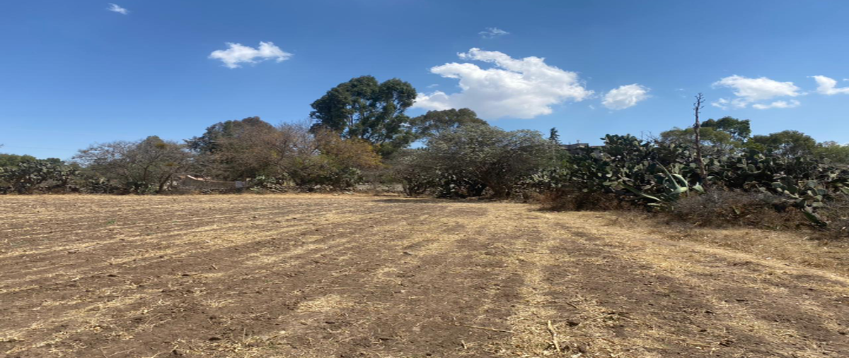 Foto de terreno habitacional en venta en nopala de villagran , nopala centro, nopala de villagrán, hidalgo, 0 No. 03