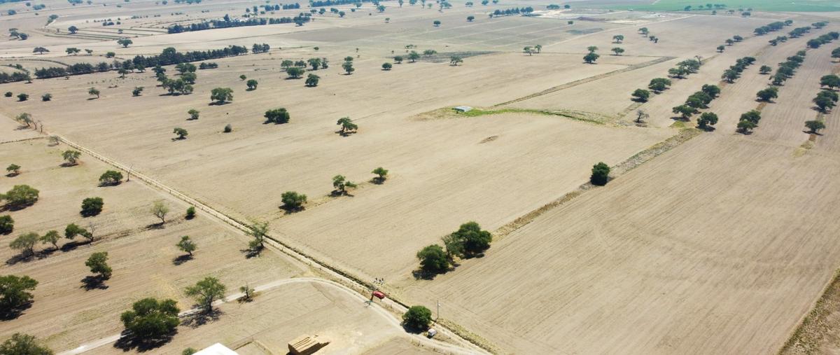 Foto de terreno habitacional en venta en  , nopalucan de la granja, nopalucan, puebla, 25393097 No. 03