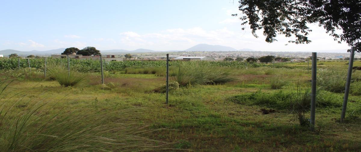 Foto de terreno habitacional en venta en  , nopalucan de la granja, nopalucan, puebla, 0 No. 03