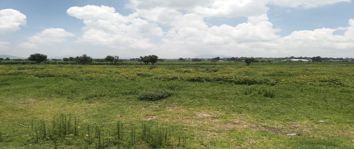 Foto de terreno habitacional en venta en  , nopalucan de la granja, nopalucan, puebla, 30195654 No. 04