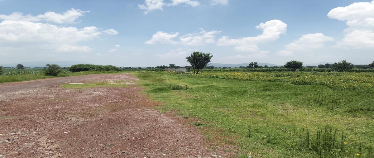 Foto de terreno habitacional en venta en  , nopalucan de la granja, nopalucan, puebla, 30195654 No. 05