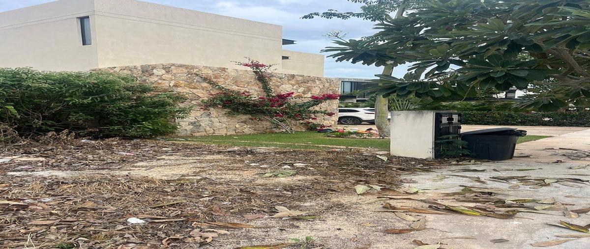 Foto de terreno habitacional en venta en norte de merida , komchen, mérida, yucatán, 0 No. 05