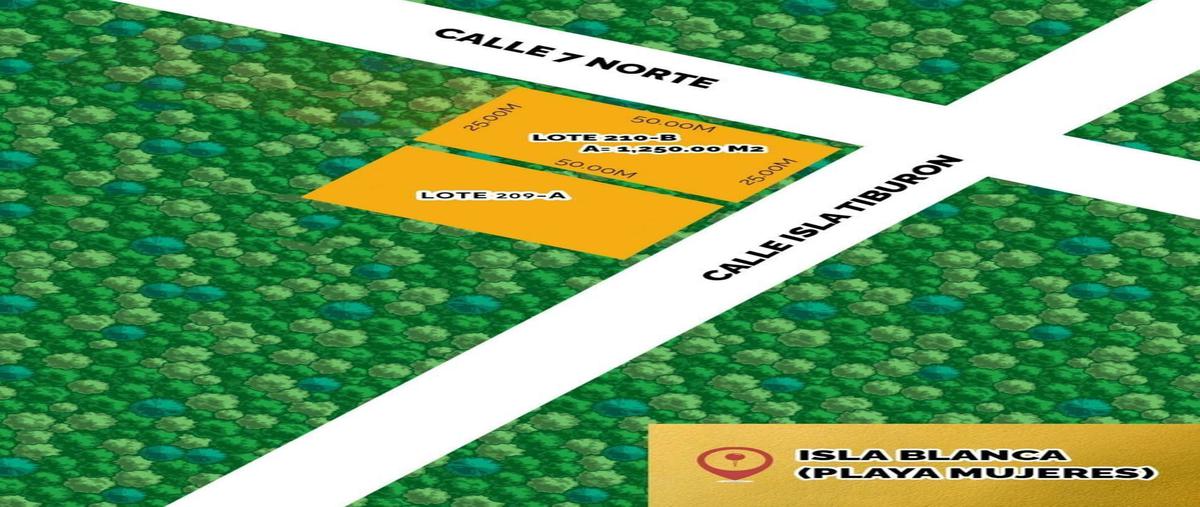 Foto de terreno habitacional en venta en norte , isla blanca, isla mujeres, quintana roo, 23444046 No. 03