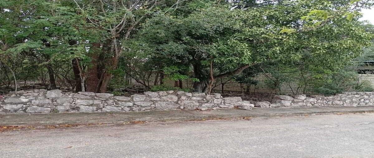 Foto de terreno habitacional en venta en norte , komchen, mérida, yucatán, 28787201 No. 03