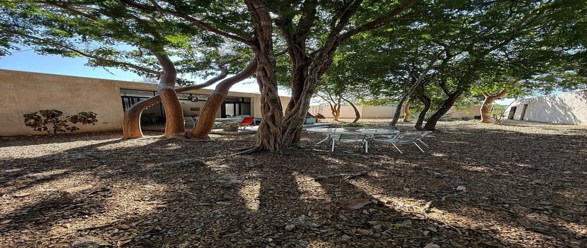 Foto de terreno habitacional en norte , temozon norte, mérida, yucatán, 0 foto 02 Foto de terreno habitacional en renta en norte , temozon norte, mérida, yucatán, 0 No. 02