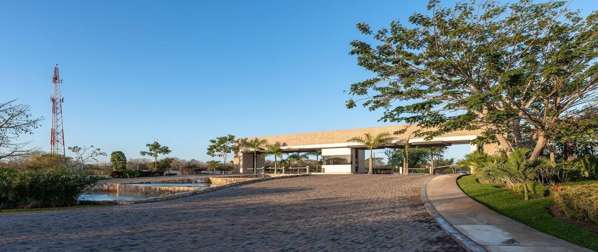 Foto de terreno habitacional en nortemerida , komchen, mérida, yucatán, 0 foto 03 Foto de terreno habitacional en venta en nortemerida , komchen, mérida, yucatán, 0 No. 03