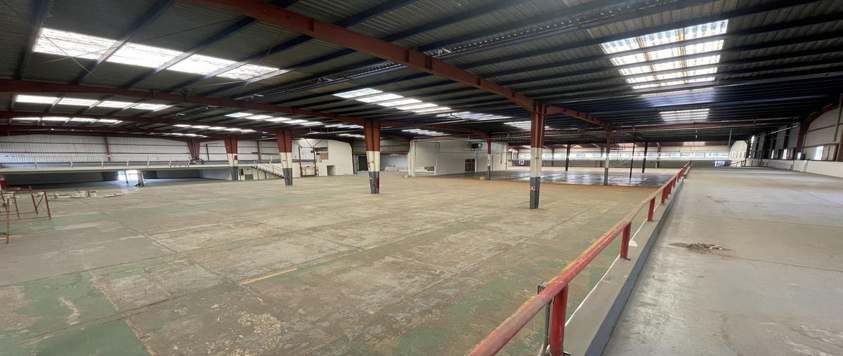Foto de nave industrial en renta en novena , obrera, ensenada, baja california, 29232579 No. 03