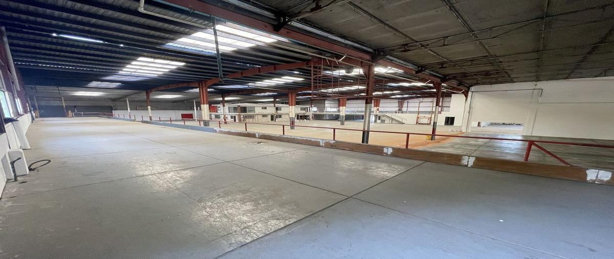 Foto de nave industrial en renta en novena , obrera, ensenada, baja california, 29232579 No. 05