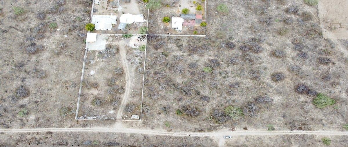 Foto de terreno habitacional en venta en novilo , cardonal, la paz, baja california sur, 27292030 No. 03