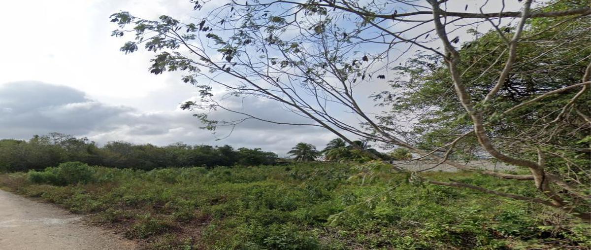 Foto de terreno comercial en , novo cancún, benito juárez, quintana roo, 30134466 foto 01 Foto de terreno comercial en venta en , novo cancún, benito juárez, quintana roo, 30134466 No. 01
