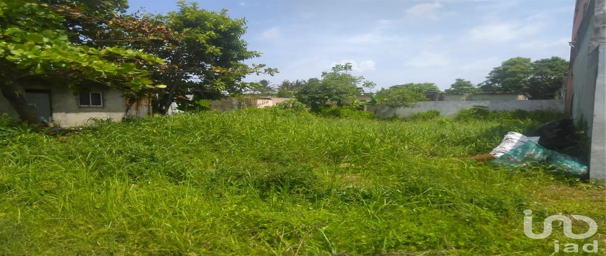 Foto de terreno comercial en nueces 184, miguel hidalgo, coatzacoalcos, veracruz de ignacio de la llave, 28722067 foto 02 Foto de terreno comercial en renta en nueces 184, miguel hidalgo, coatzacoalcos, veracruz de ignacio de la llave, 28722067 No. 02